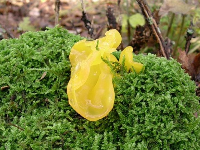 523 Dicembre vecchio ritrovamento